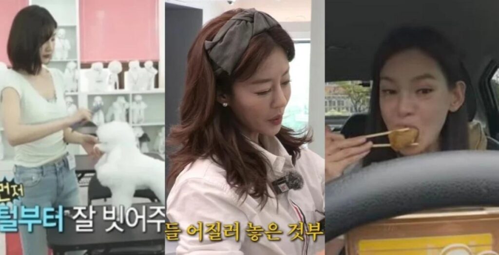 Why K-pop stars are getting backup careers — from dog groomers to insurance agents