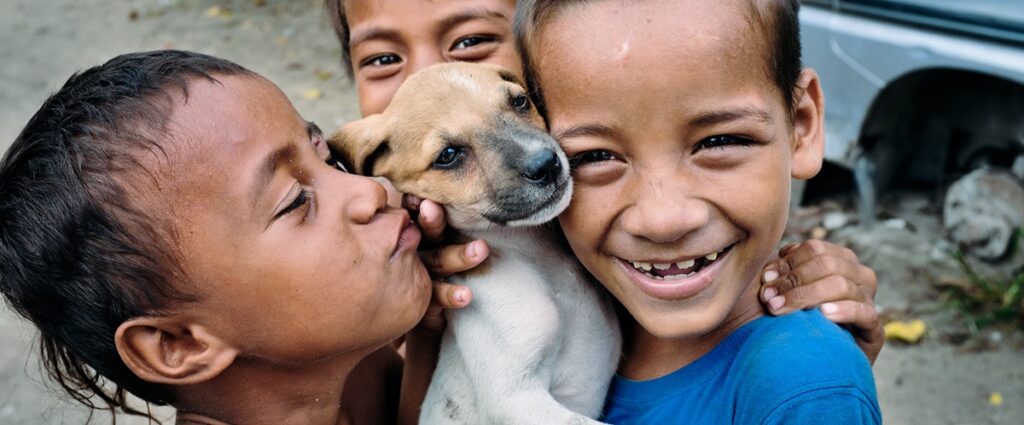 Film screening and discussion on education for a balance between animal, plant and human health