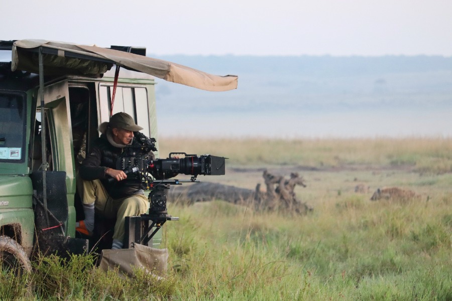 A lion’s journey comes into focus for wildlife cinematographer A lion's journey comes into focus for wildlife cinematographer