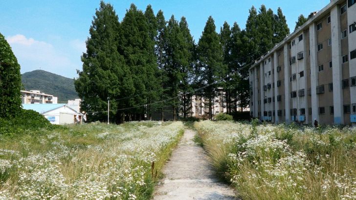 A scene from the documentary 'Green Concrete' / Courtesy of Jinjin Pictures