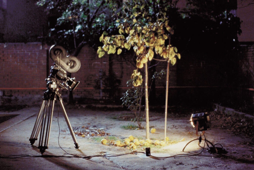 Bilge Ebiri on Our Fascination with Filmmakers Who Make Few Films
