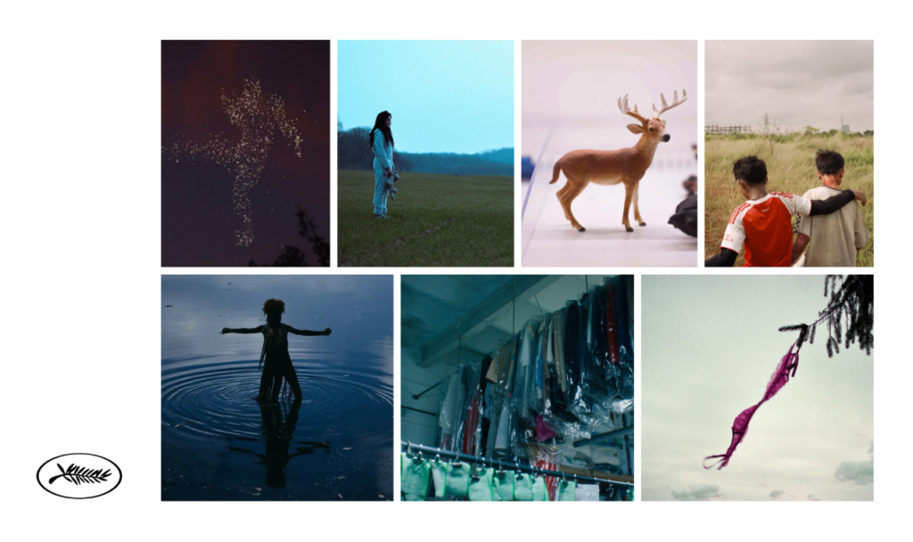 Focus SCRIPT 2026: 7 Short Film projects in development Focus SCRIPT 2026: 7 Short Film projects in development