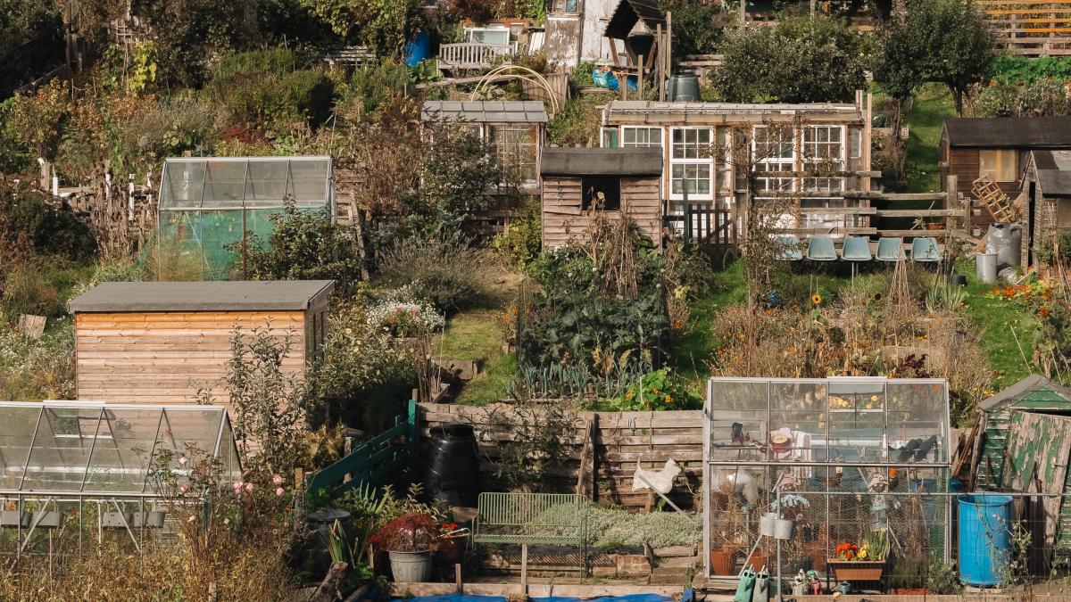 buildings on a hillside