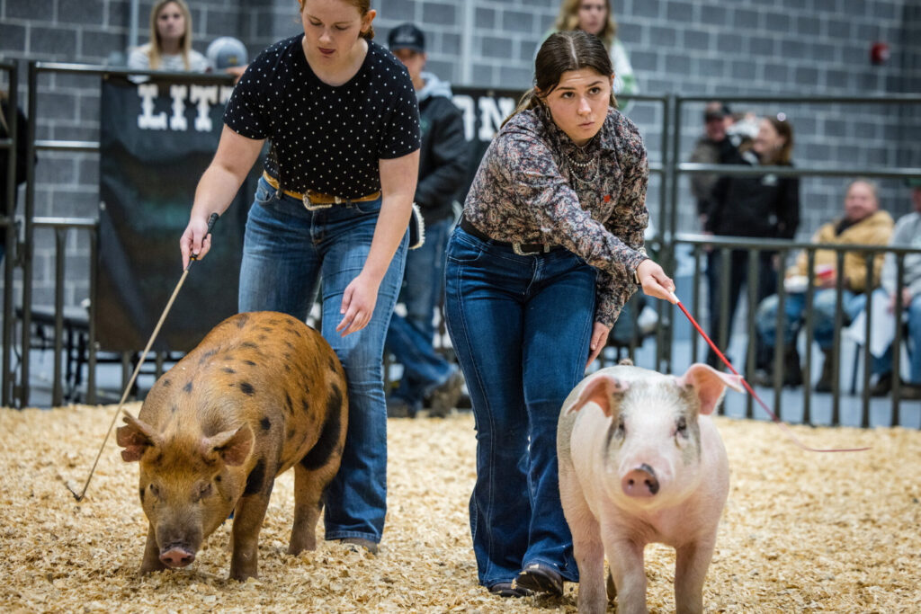 Top animal science careers for Northwest Missouri State graduates