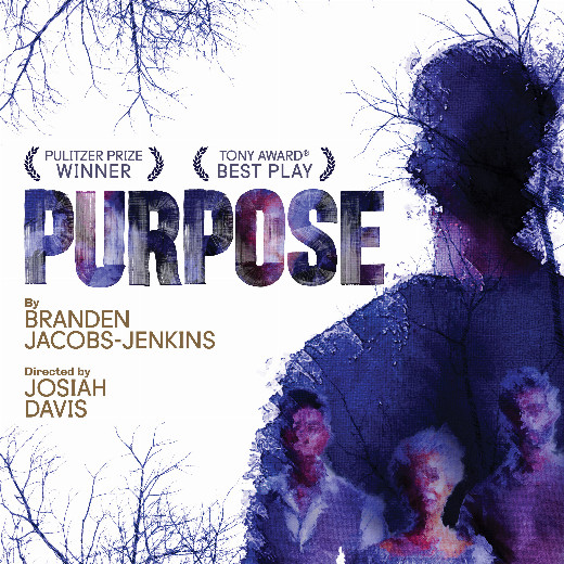 Purpose in Boston