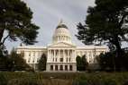 Schiavo Advances Five Bills Out of Senate Appropriations Committee
