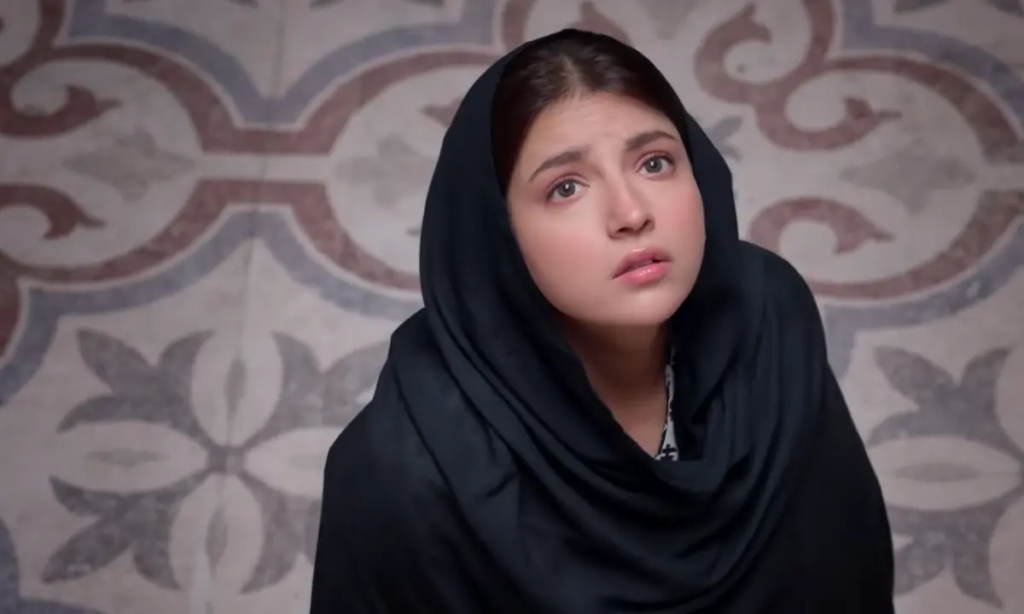 The first teaser for Dananeer Mobeen's new drama, Hurmat, unveils a journey of courage
