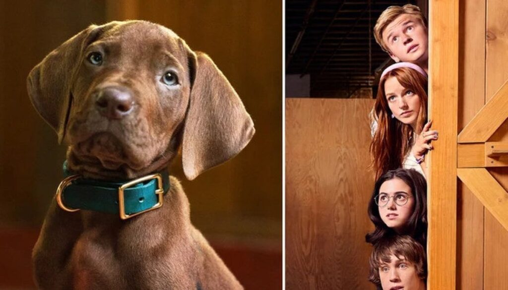 Netflix makes ‘Scooby-Doo’ history with first real Great Dane in new show Netflix makes 'Scooby-Doo' history with first real Great Dane in new show