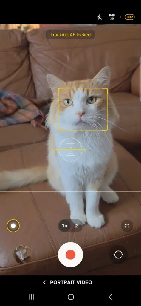 Samsung Galaxy Portrait Video camera interface showing an orange and white cat with Tracking AF locked onto its face.