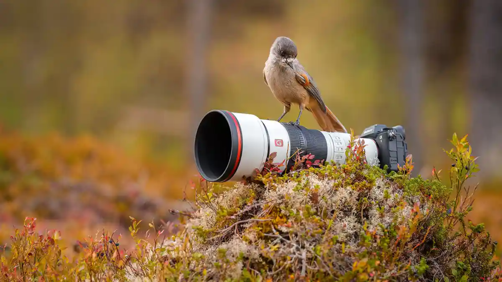 Sony launches lightweight 400mm and 600mm GM lenses Sony launches lightweight 400mm and 600mm GM lenses