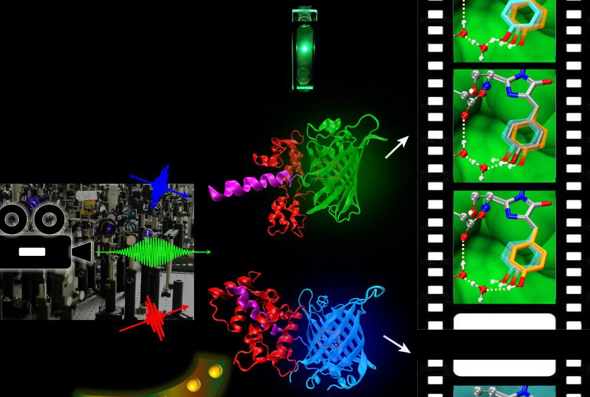 Graphic depicting molecular movie technology