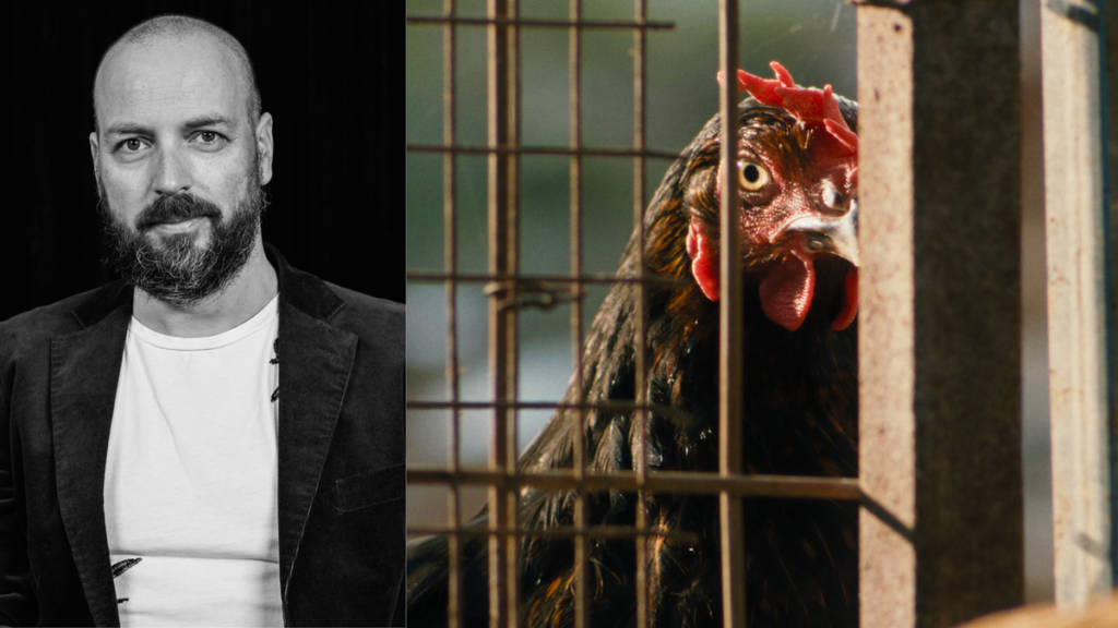 ‘Somehow You Become The Chicken’: György Pálfi On Making Hen From The Eyes Of Its Most Unlikely Star ‘Somehow You Become The Chicken’: György Pálfi On Making Hen From The Eyes Of Its Most Unlikely Star