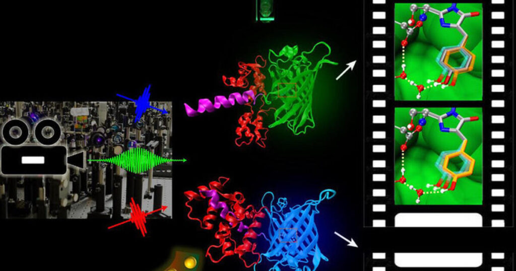 ‘Molecular movie’ technology reveals a better way to thwart environmental pollutant