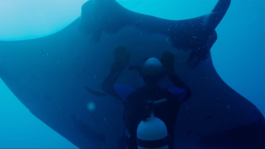 Official Trailer for 'The Last Dive' Doc About Befriending a Manta Ray